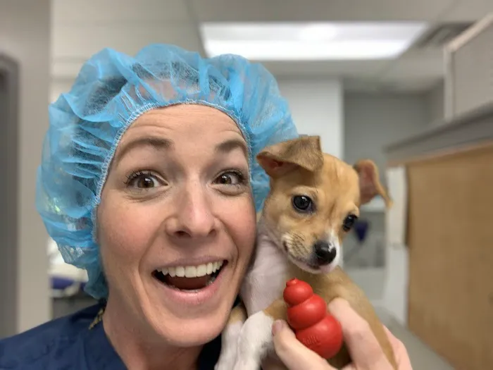 Gateway Veterinary Surgery 12