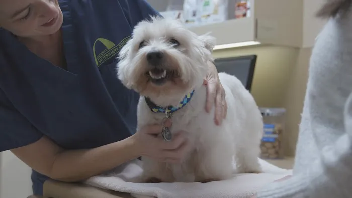 Gateway Veterinary Surgery 12