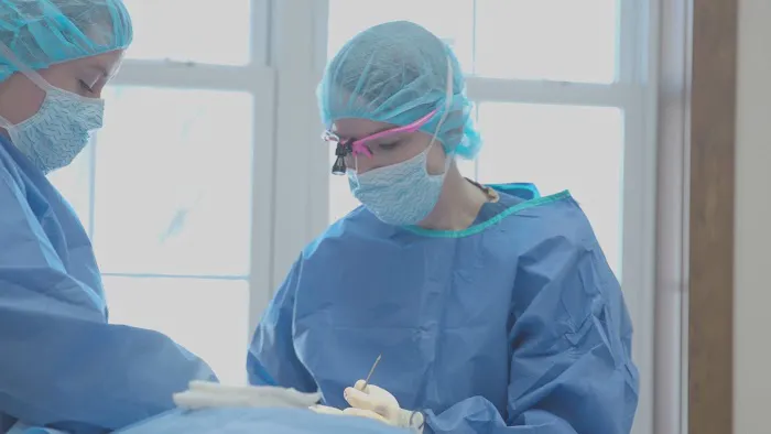 Gateway Veterinary Surgery 12