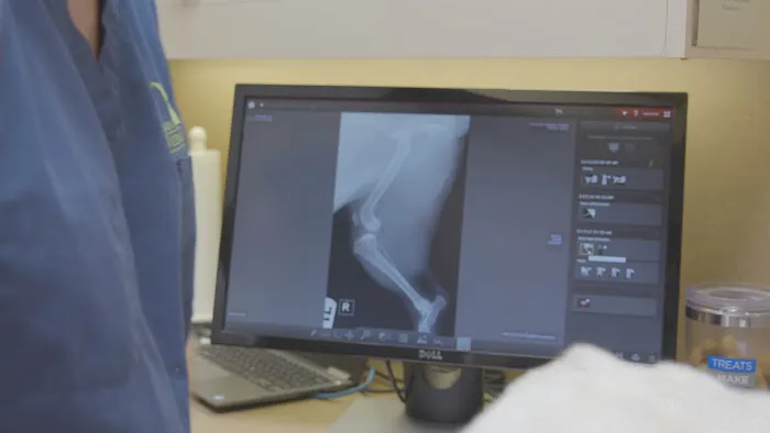 Gateway Veterinary Surgery 12