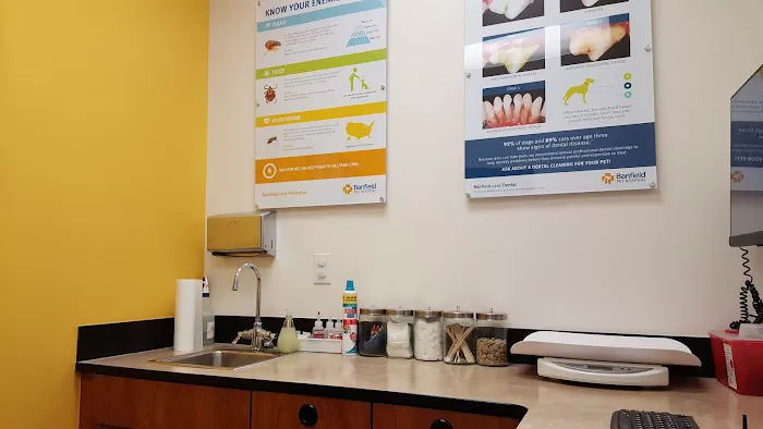 Banfield Pet Hospital 2