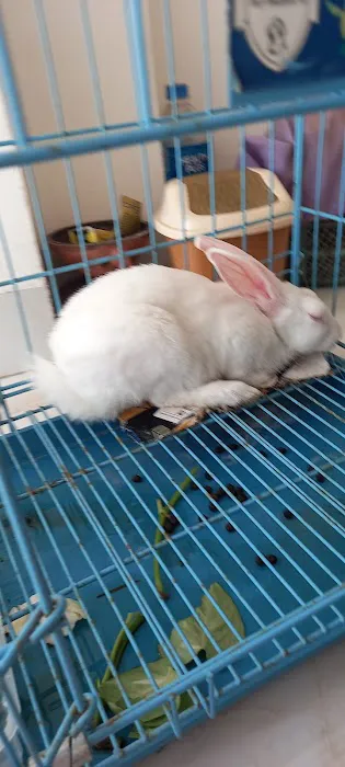 US Animal Plant Health Inspctn 1