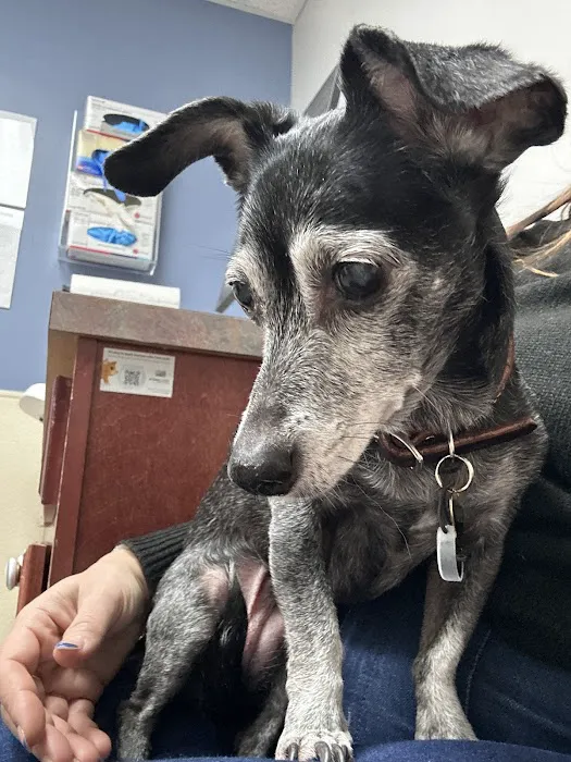 Animal Hospital of Dauphin County at Linglestown 7