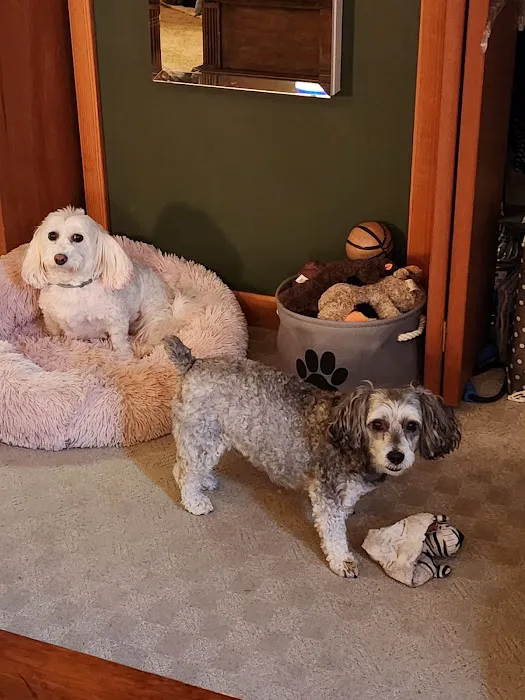 Animal Hospital of Dauphin County at Linglestown 8
