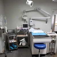 VCA West Shore Animal Hospital ico