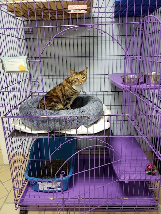 VCA West Shore Animal Hospital 9