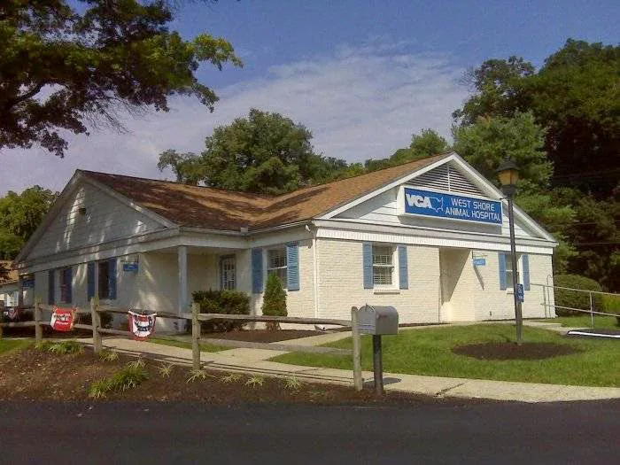 VCA West Shore Animal Hospital 3