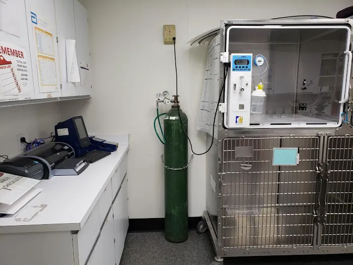 VCA West Shore Animal Hospital 6