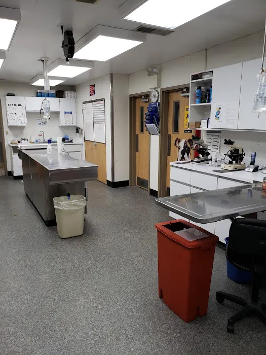 VCA West Shore Animal Hospital 7