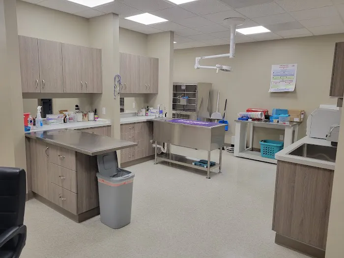 Blue Mountain Veterinary Care 1