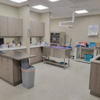 Blue Mountain Veterinary Care ico