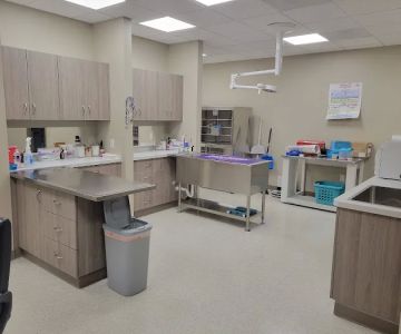 Blue Mountain Veterinary Care