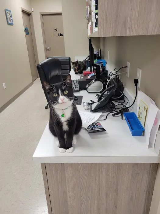 Blue Mountain Veterinary Care 6