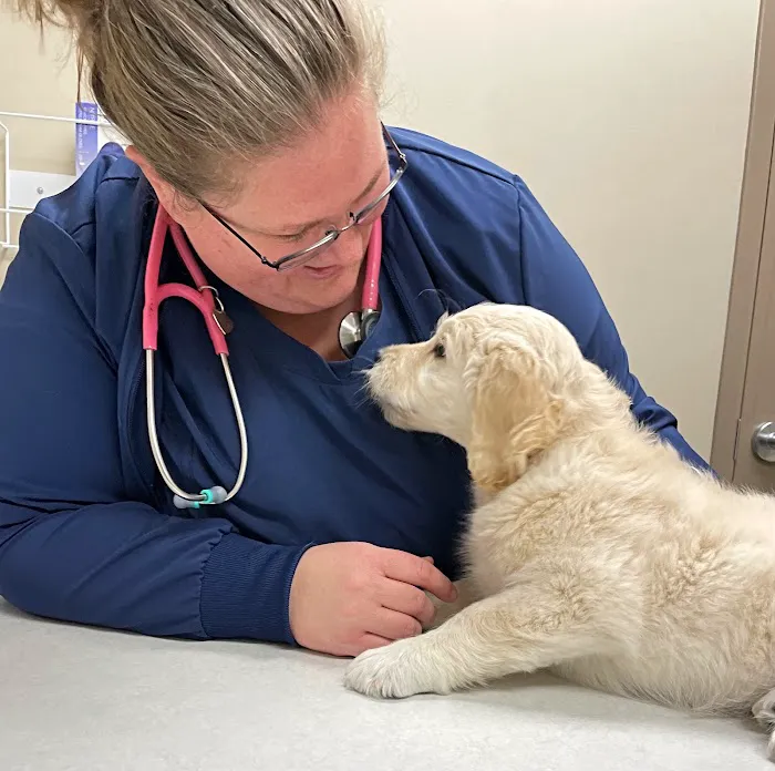 Blue Mountain Veterinary Care 9