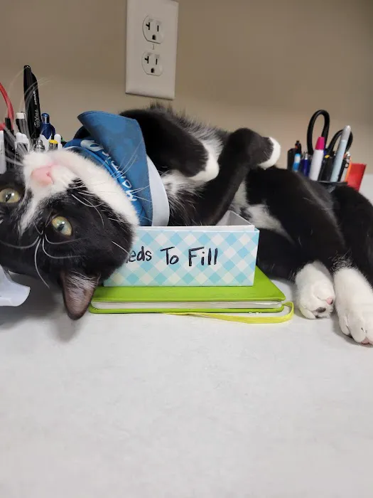 Blue Mountain Veterinary Care 10