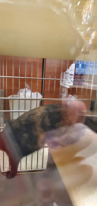 Banfield Pet Hospital 12