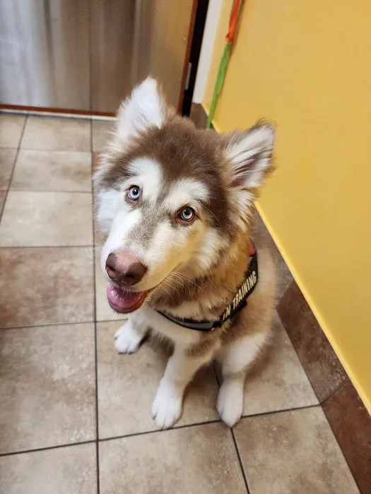 Banfield Pet Hospital 12