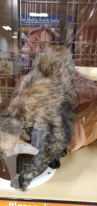 Banfield Pet Hospital 12