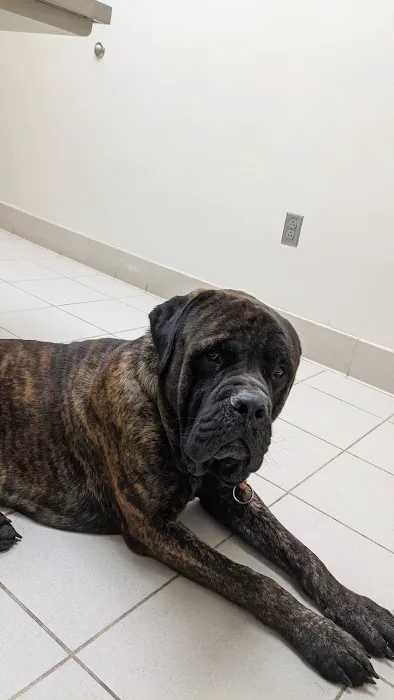 Long Animal Hospital and Emergency Center | Charlotte NC 6