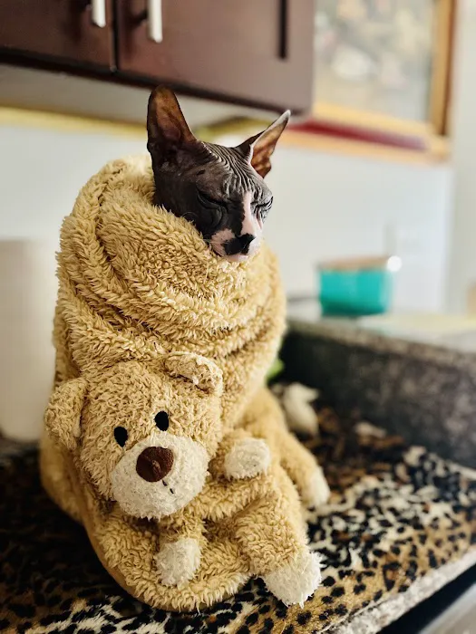Long Animal Hospital and Emergency Center | Charlotte NC 2