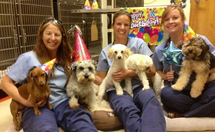 Carolinas Veterinary Medical Hospital 6