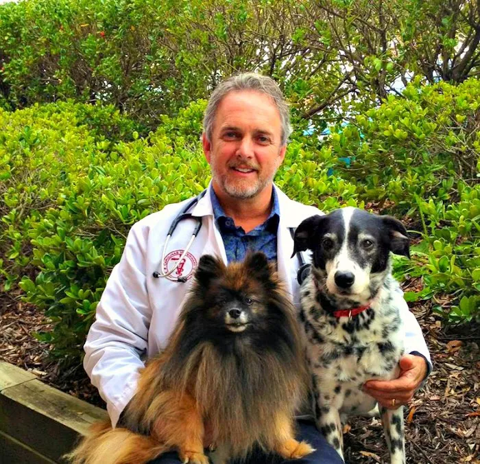 Carolinas Veterinary Medical Hospital 9