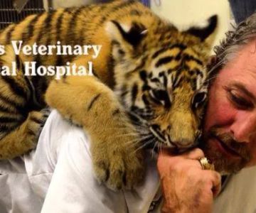 Carolinas Veterinary Medical Hospital