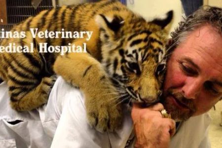 Carolinas Veterinary Medical Hospital