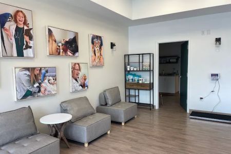 Whole Pet Veterinary Hospital - South Charlotte