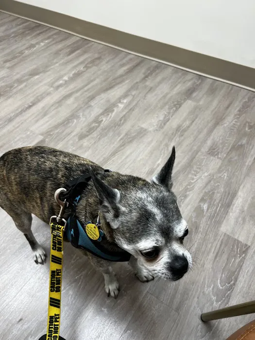 Whole Pet Veterinary Hospital - South Charlotte 12