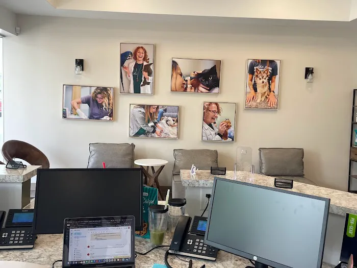 Whole Pet Veterinary Hospital - South Charlotte 12