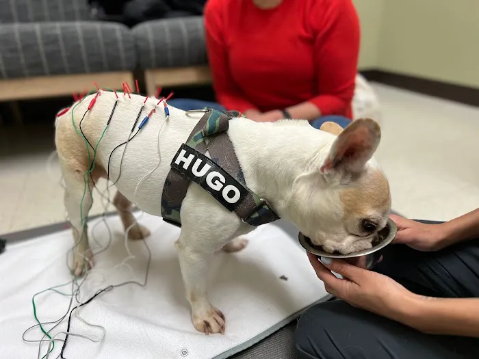 Whole Pet Veterinary Hospital - South Charlotte 12