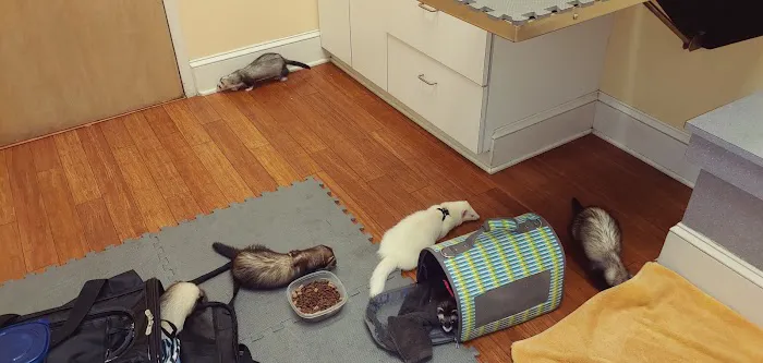 Atrium Animal Hospital 1