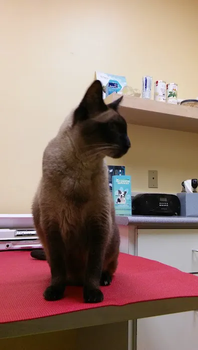Atrium Animal Hospital 3