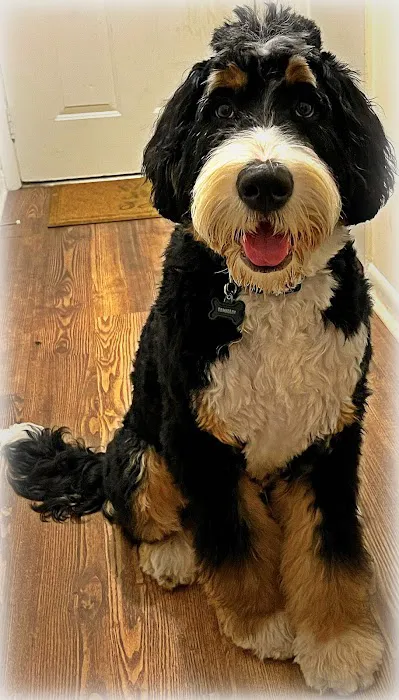 Carmel Road Animal Hospital 3
