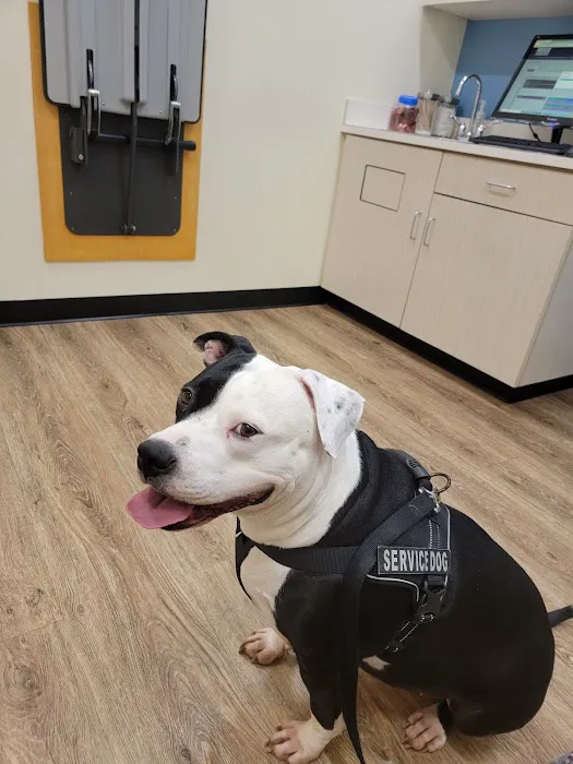 Carmel Road Animal Hospital 1