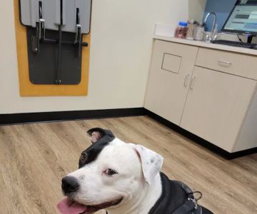 Carmel Road Animal Hospital