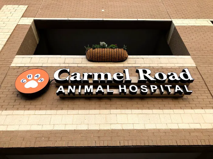 Carmel Road Animal Hospital 9