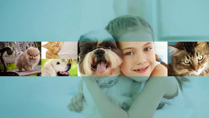 Stand For Animals Veterinary Clinic 4