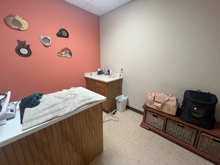 4 Seasons Cat Hospital 12