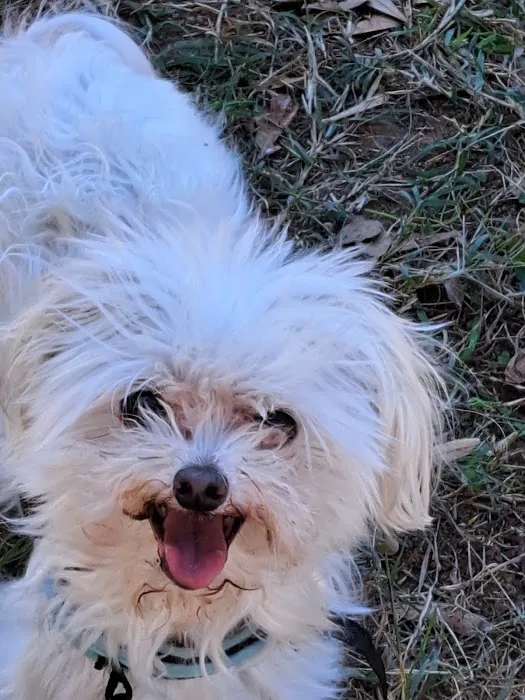 Friendship Animal Hospital 8