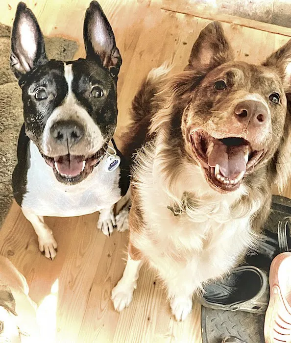 Friendship Animal Hospital 10