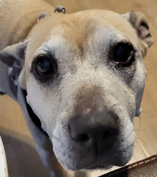 Friendship Animal Hospital 5