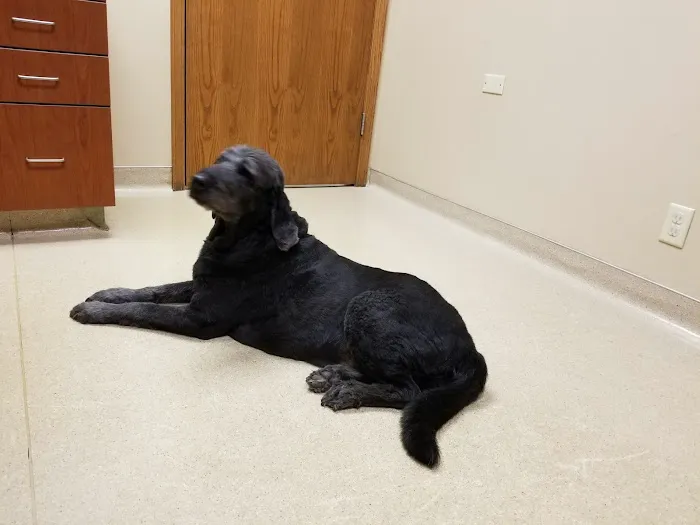 Hales Corners Veterinary Clinic 2