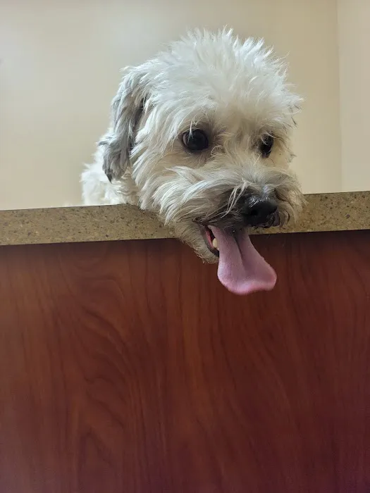 Hales Corners Veterinary Clinic 3