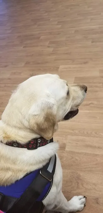 Healthy Paws Animal Clinic-Greenfield 10
