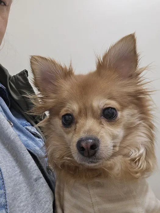 Vetco Total Care Animal Hospital 12