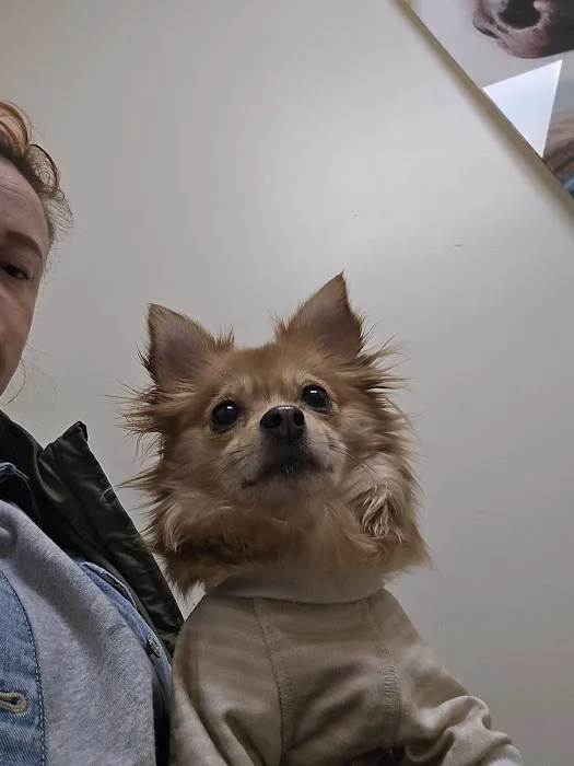Vetco Total Care Animal Hospital 12