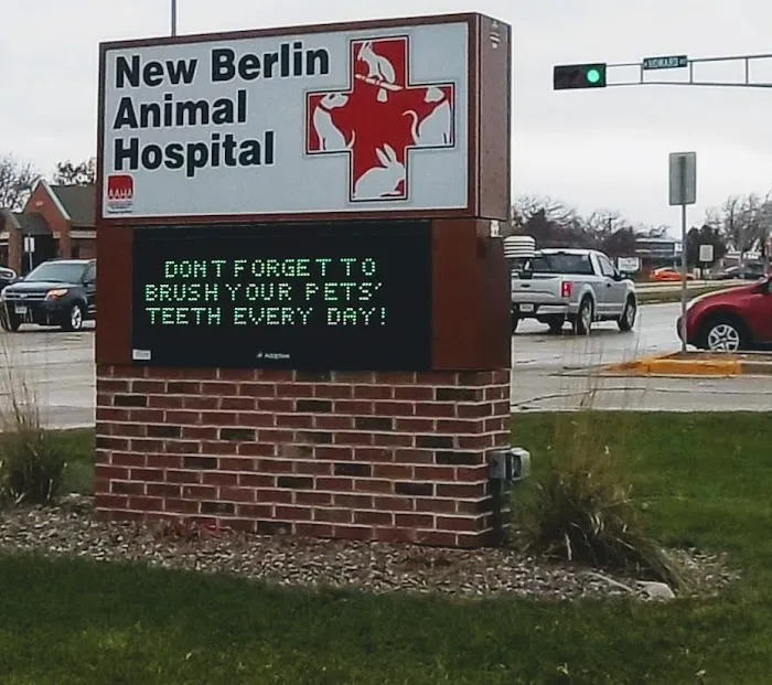 New Berlin Animal Hospital 12