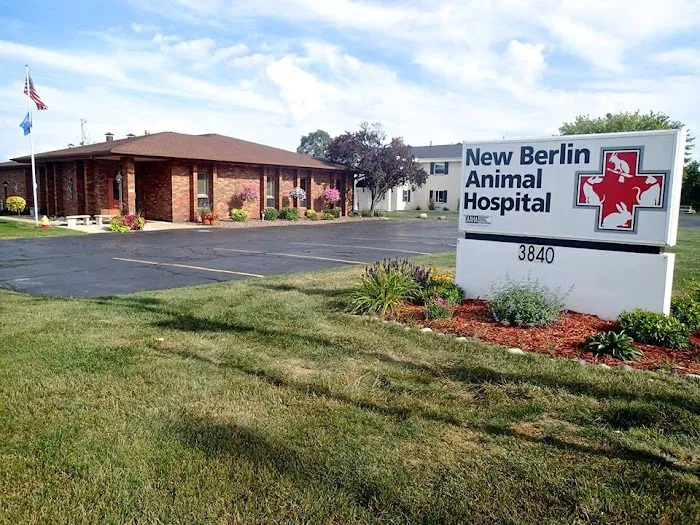 New Berlin Animal Hospital 12